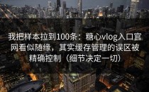 我把样本拉到100条：糖心vlog入口官网看似随缘，其实缓存管理的误区被精确控制（细节决定一切）