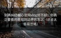 别再纠结糖心官网vlog好不好：你真正要看的是规则边界的灰区（这点太容易忽略）