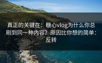 真正的关键在：糖心vlog为什么你总刷到同一种内容？原因比你想的简单：反转