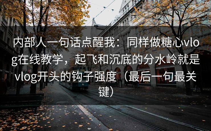 内部人一句话点醒我：同样做糖心vlog在线教学，起飞和沉底的分水岭就是vlog开头的钩子强度（最后一句最关键）  第1张