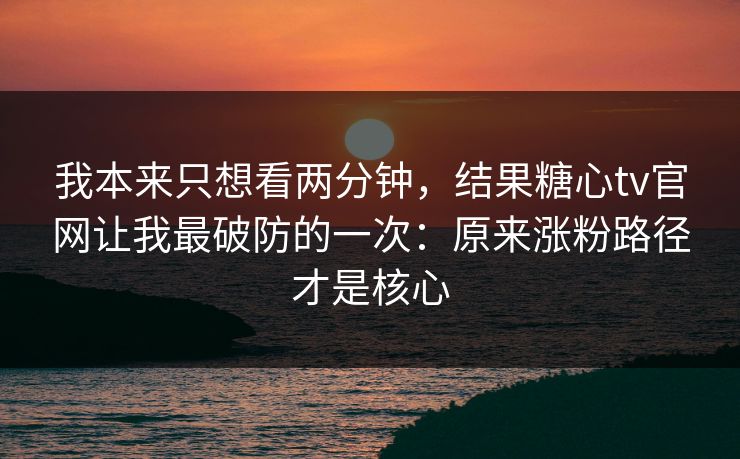 我本来只想看两分钟，结果糖心tv官网让我最破防的一次：原来涨粉路径才是核心